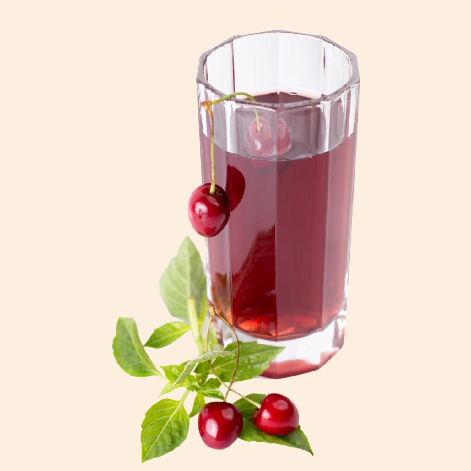 Shoprythm Herbal Liquid Extract Cranberry Herbal Liquid Extract Shoprythm Herbal Liquid Extract Cranberry Herbal Liquid Extract